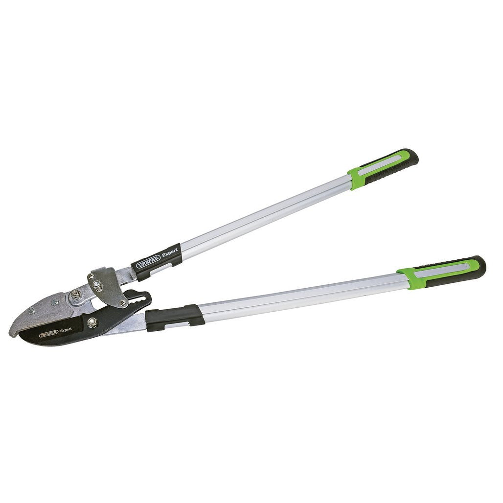 Draper Expert Ratchet Action Anvil Pattern Loppers, 750mm  94984
