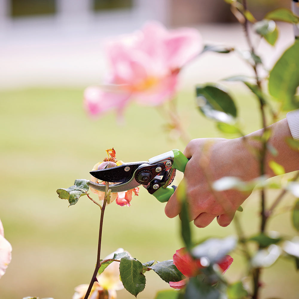 Silverline Secateurs GT101